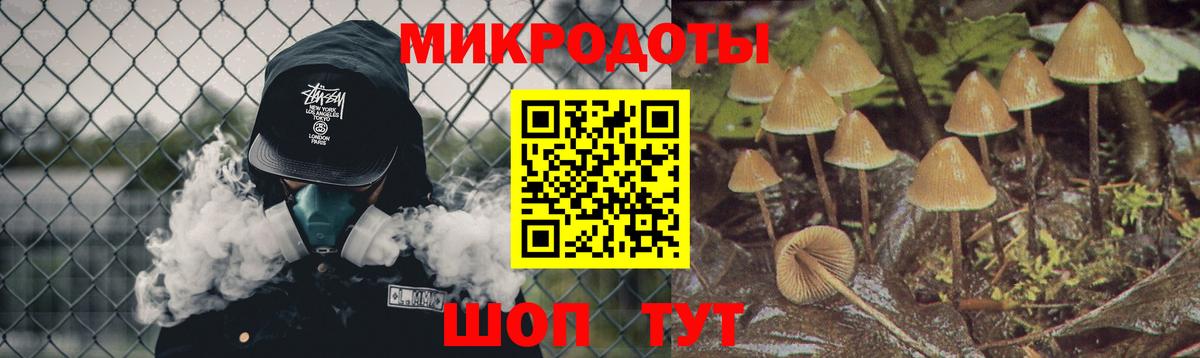 Галлюциногенные грибы Psilocybine cubensis Белгород